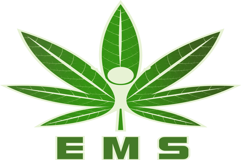 ems 1