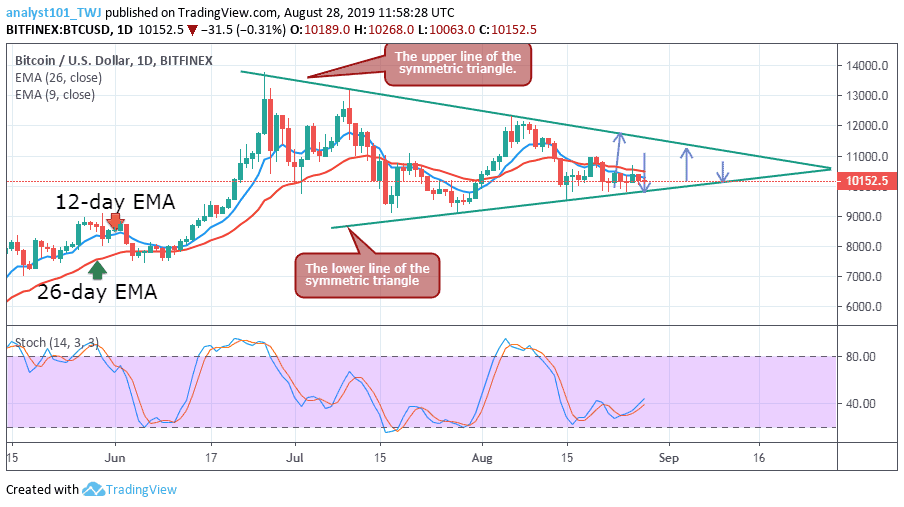 BTC/USD Daily Chart August 28, 2019