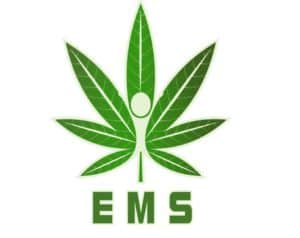 ems 1