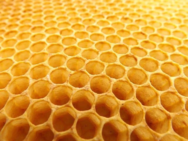 IOTA Sees Developments On All Sectors As HoneycombOS Launches
