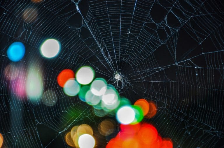 AlphaBay underground market's 'moderator' sentenced to 11 years in jail