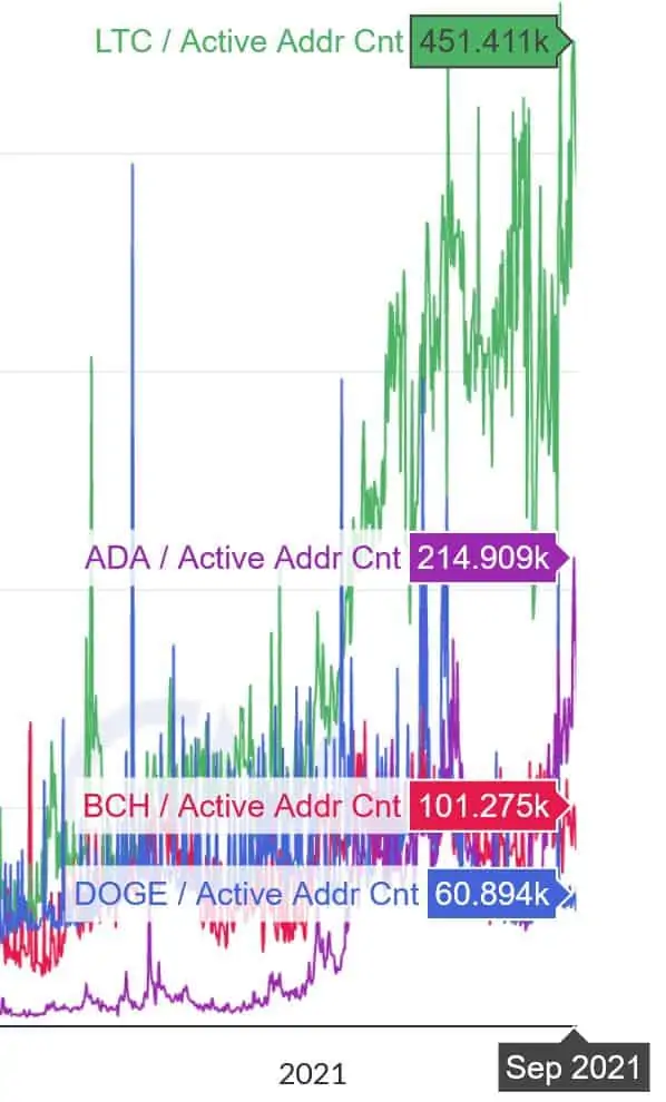Litecoin activity stands higher than Cardano, Bitcoin Cash, Dogecoin 2 b