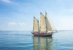 Polkadot [DOT] keeps sails up as all-time high looks closer than ever before