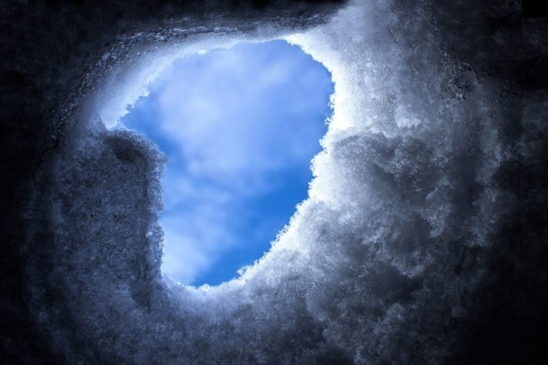 Avalanche [AVAX] scores a Million Cumulative Wallets