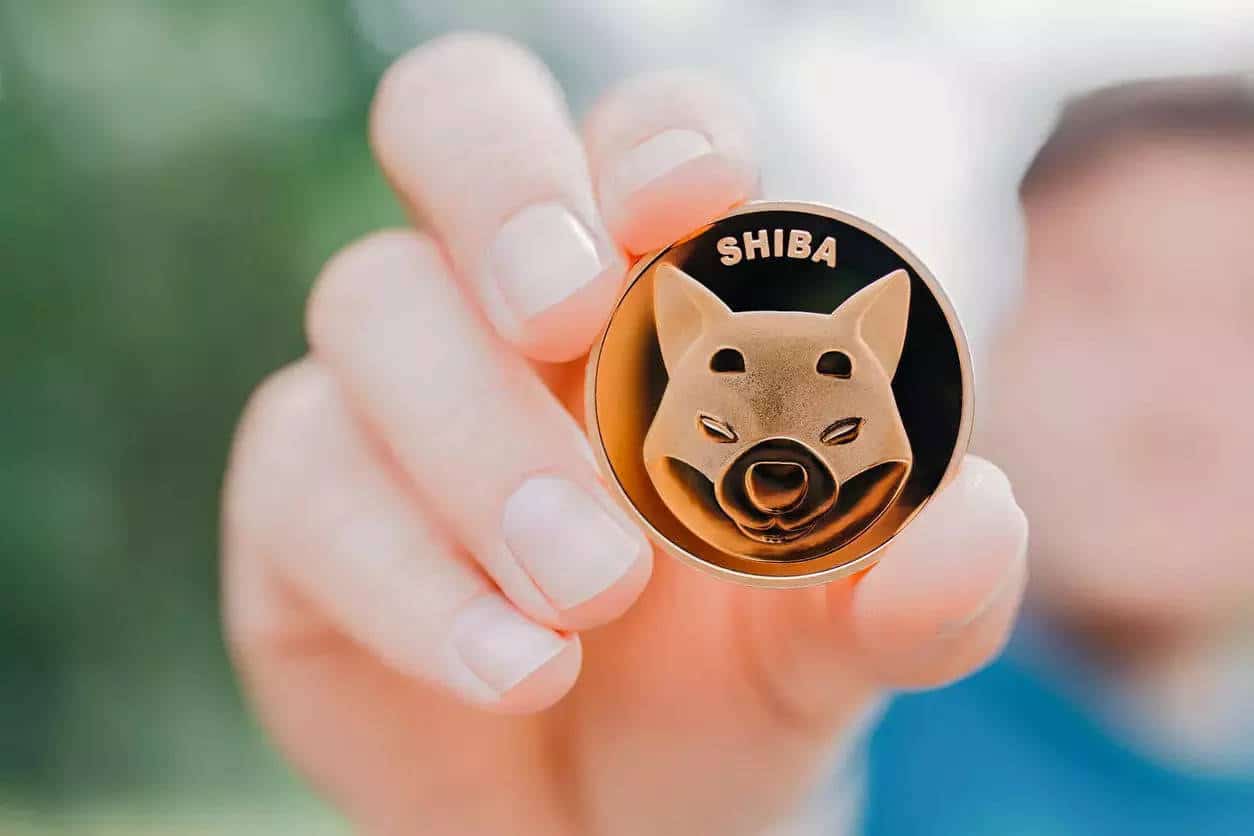 Shiba Inu Takes a Leap Into Metaverse With ‘Shib'