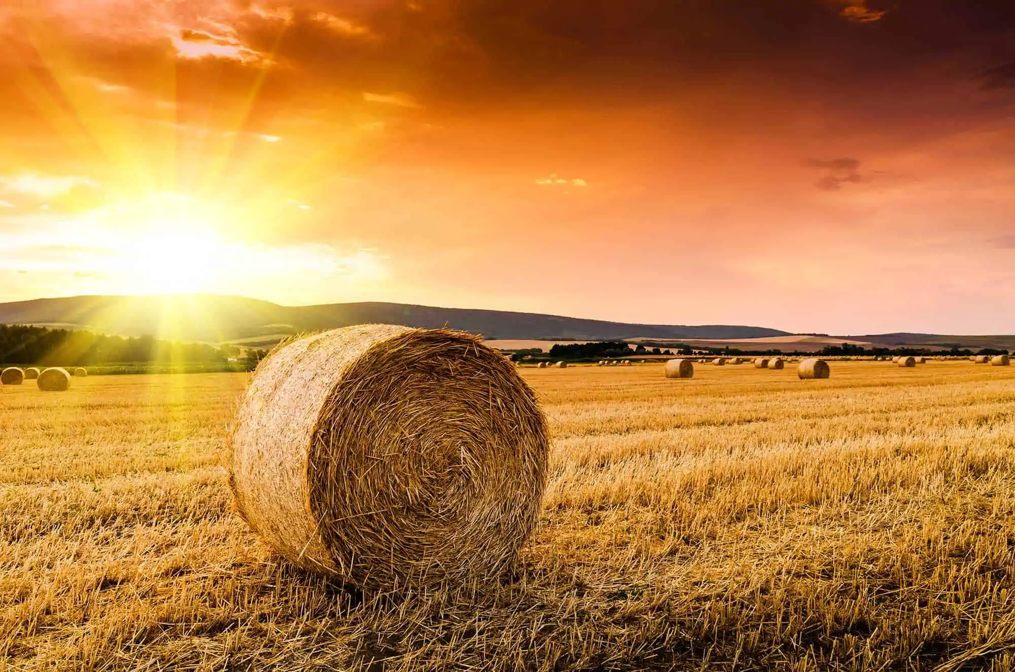 Cryptocurrency investors make hay while the sun shines