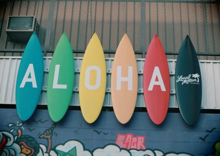 Hawaii Assembly Gives Clearance For A Crypto Task Force