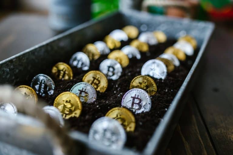 crypto hub