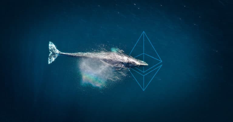 534 Billion Shiba Inu Scooped up by Ethereum Whales