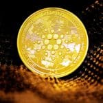 Cardano's Buying Activity Shoot Up Due To These Possible Reasons
