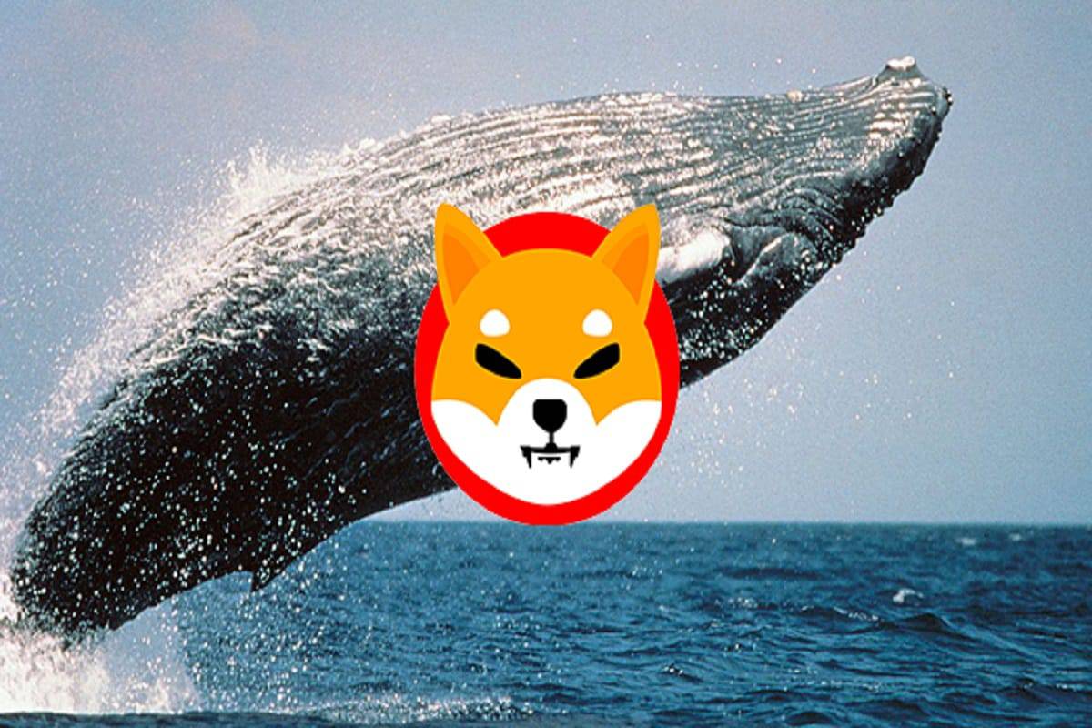1.6 Trillion Shiba Inu Gulped by Whales, Here’s Why