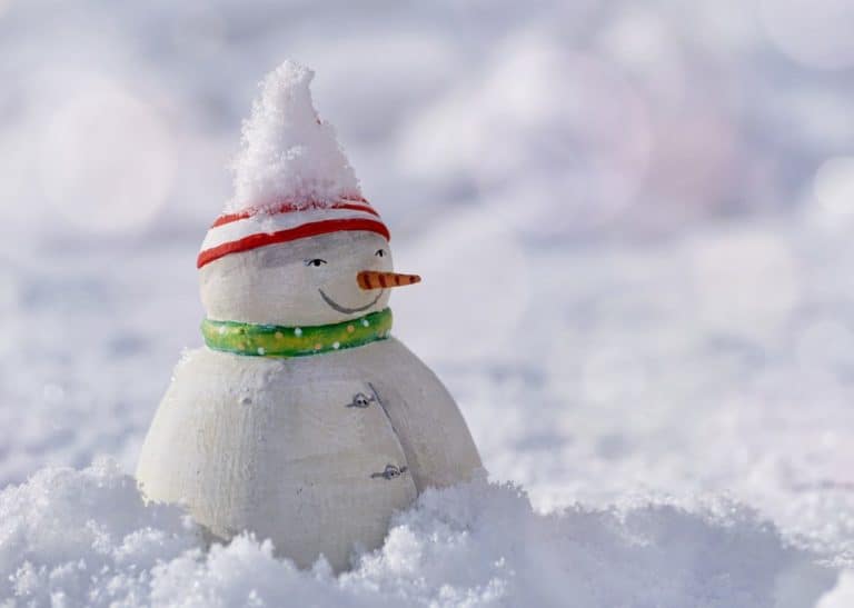 Ethereum: Cardano Founder Rakes Up "Snow White" Consensus Once Again