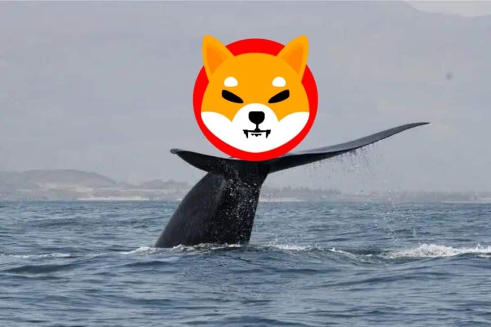 New Shiba Inu Whale Emerge as It Bags Over 3 Trillion SHIB