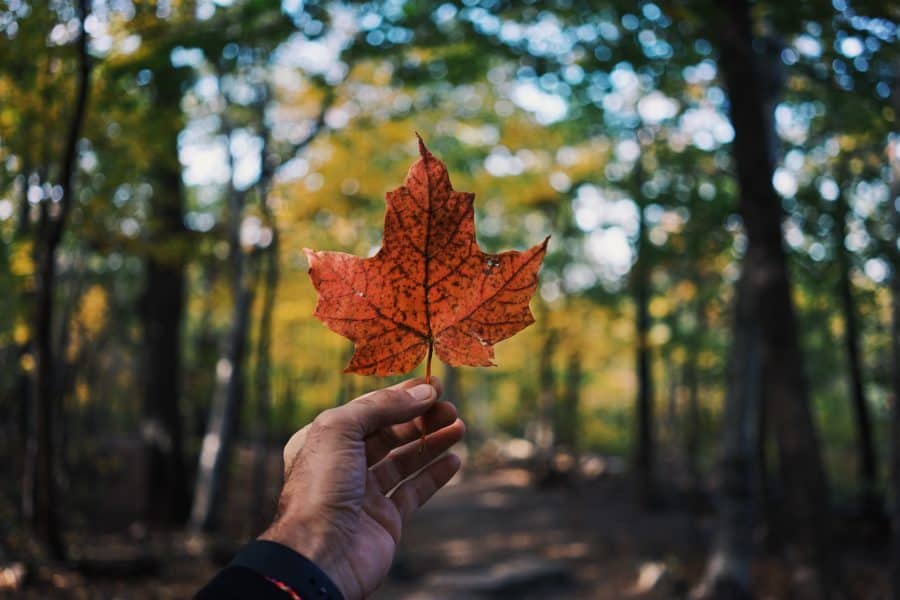 guillaume jaillet EIWCd0414xQ unsplash e1666701819389
