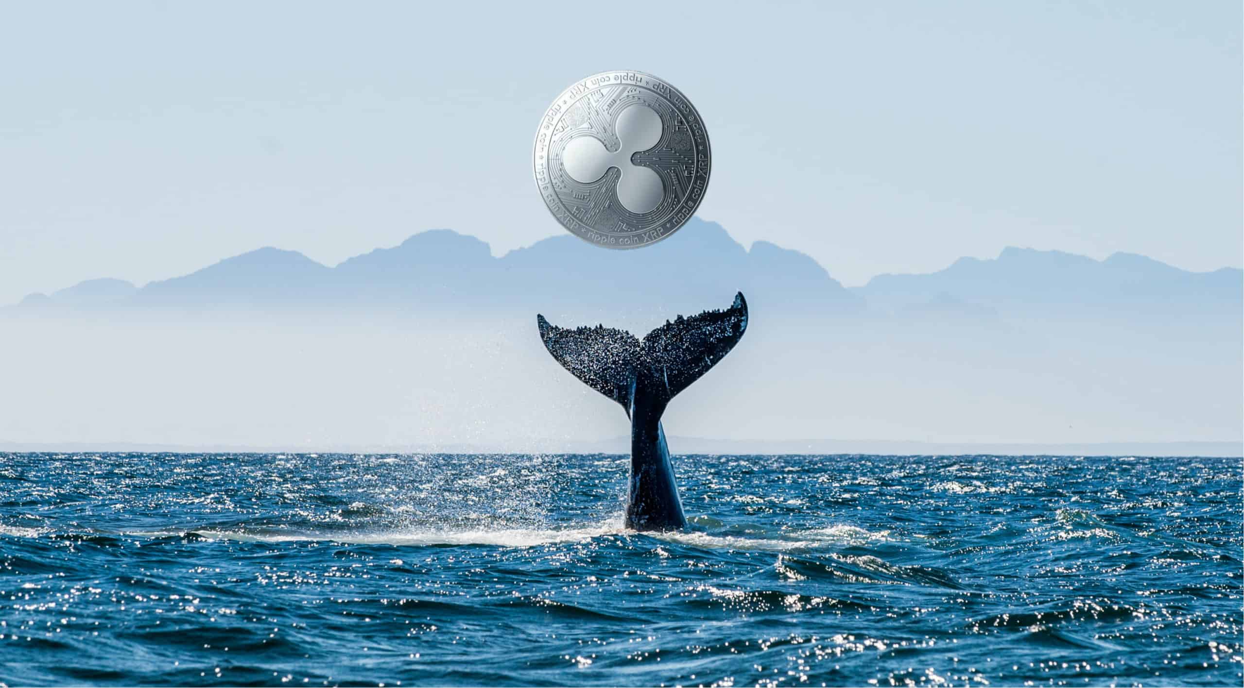 Anon XRP Whales Move Mind Boggling 975.1 Million XRP