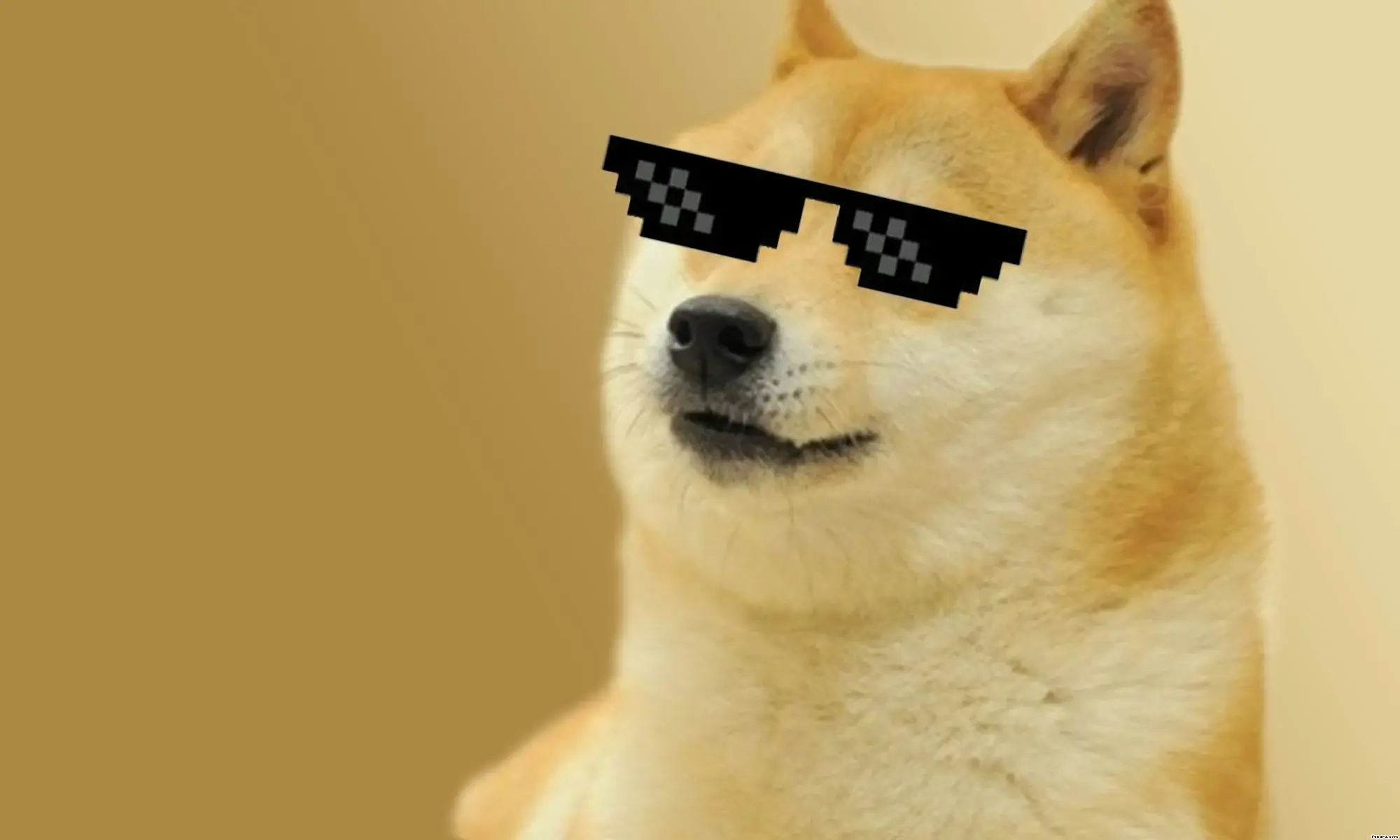 Original Shiba Inu Dog Behind Dogecoin is Dangerously Ill