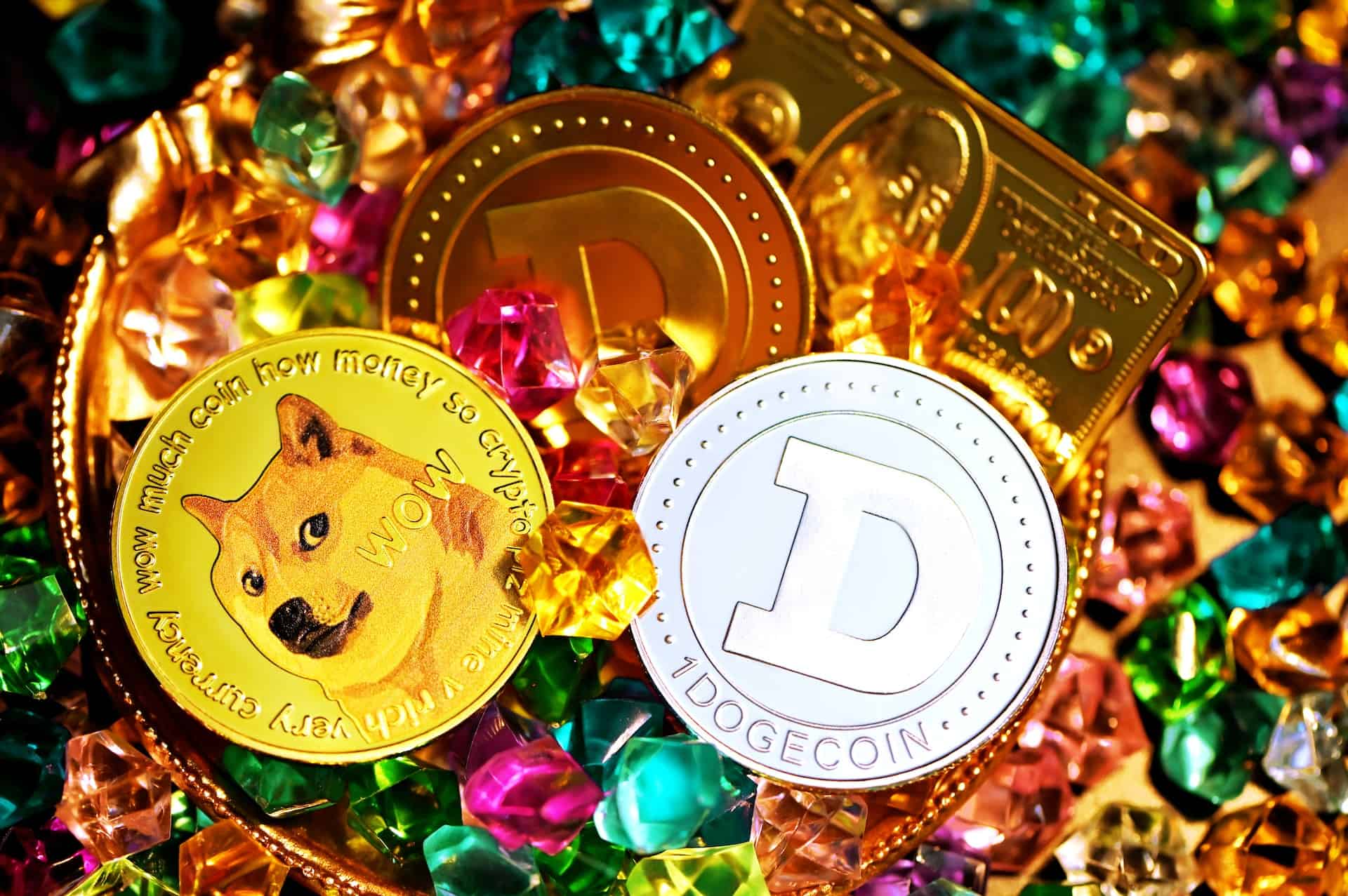 Dogecoin Becomes Whales' Favorite After Musk's Christmas Wishes