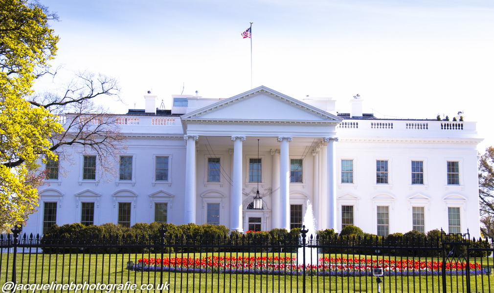 White House Unveils Roadmap To Mitigate Cryptocurrency Risks