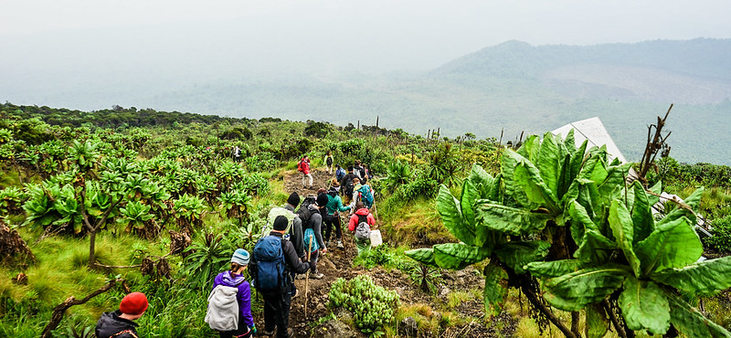 Bitcoin Mining Powers Up Virunga National Park's Conservation Efforts