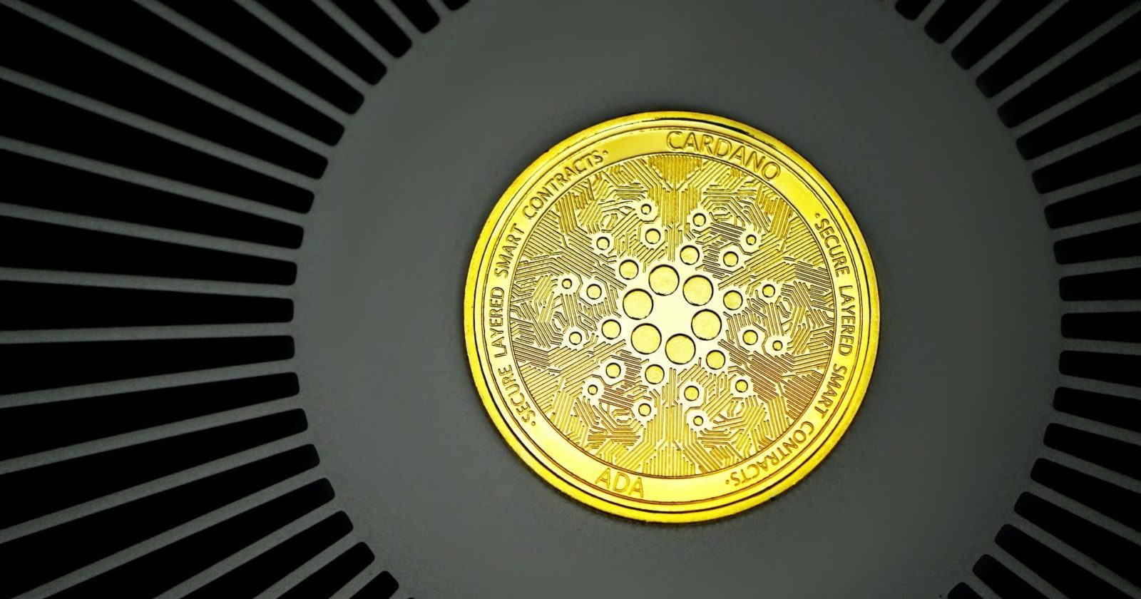 Cardano Wallets Grow With Over 50k Added Since Jan.1