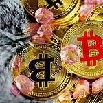 Mini Bitcoin Addresses Hit Highest Levels In 2023