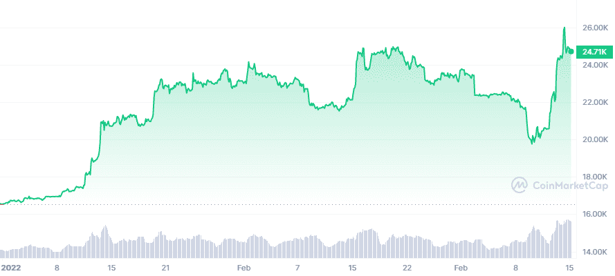 BTC YTD graph coinmarketcap 1