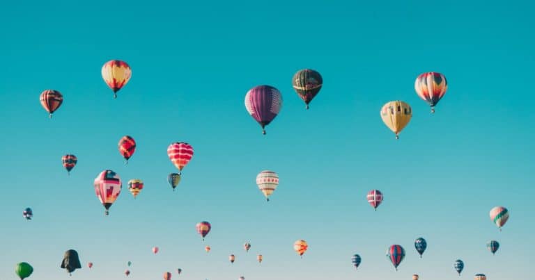 Cardano-Powered NFT Giant Launch A New Feature