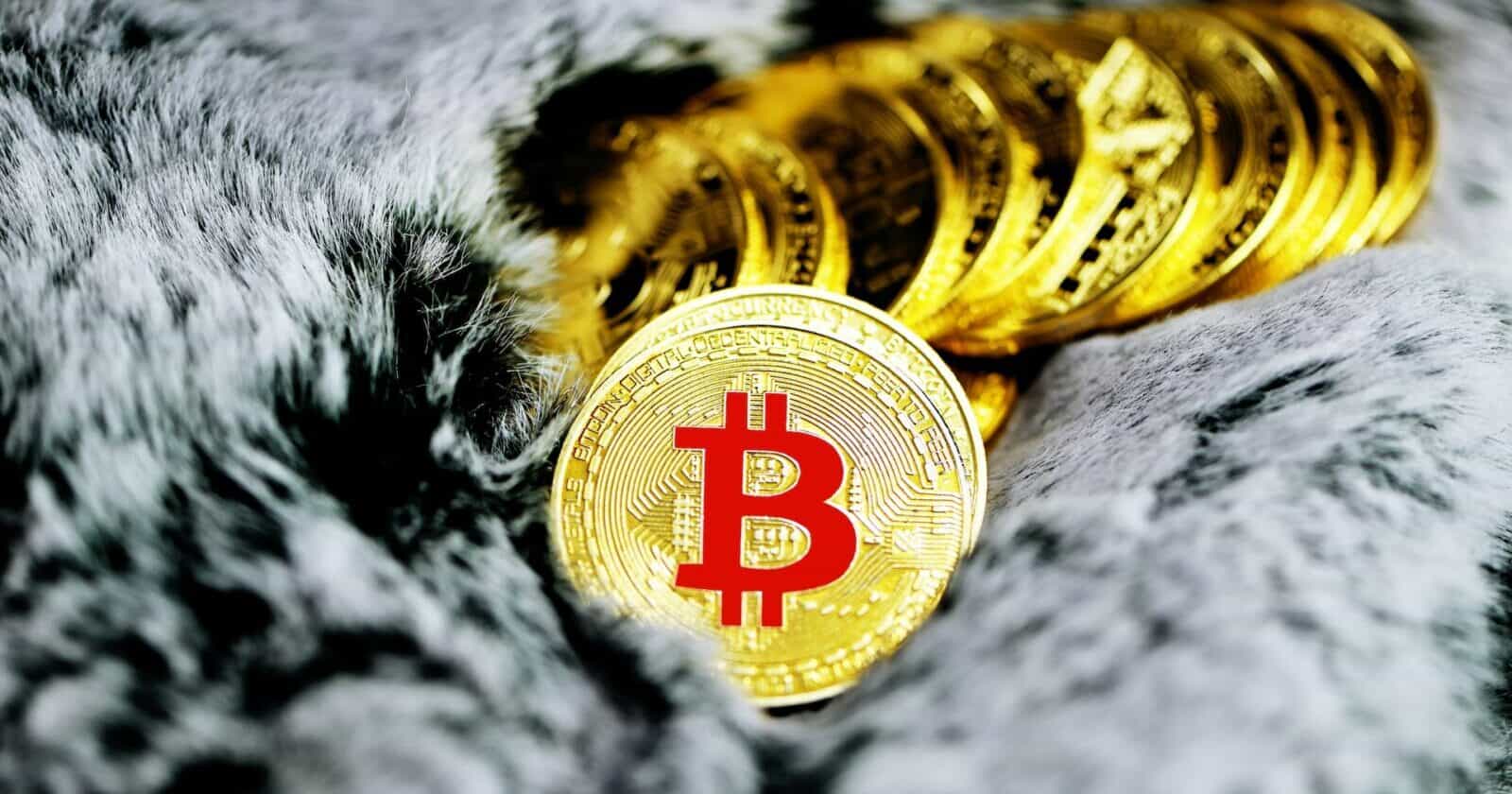 Bitcoin Slid Below $19k Amidst Growing Crowd's Interest