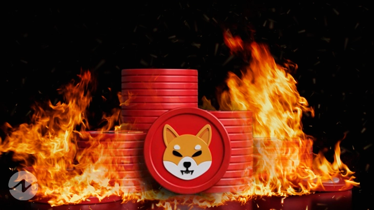 shib