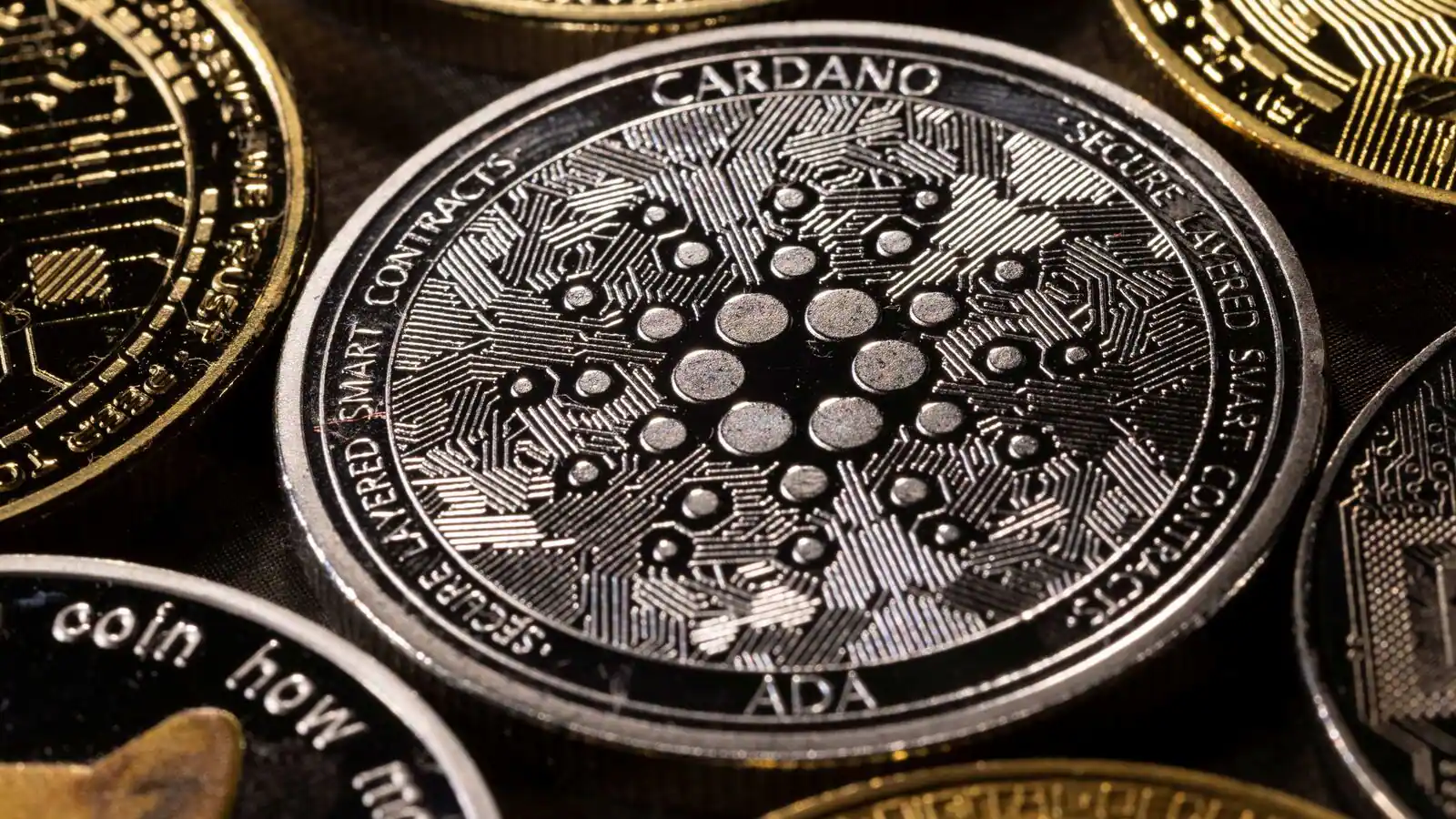 Bitboy Drops Bombshell: Discover The Cardano (ADA) Quantity Required To Attain Millionaire Status