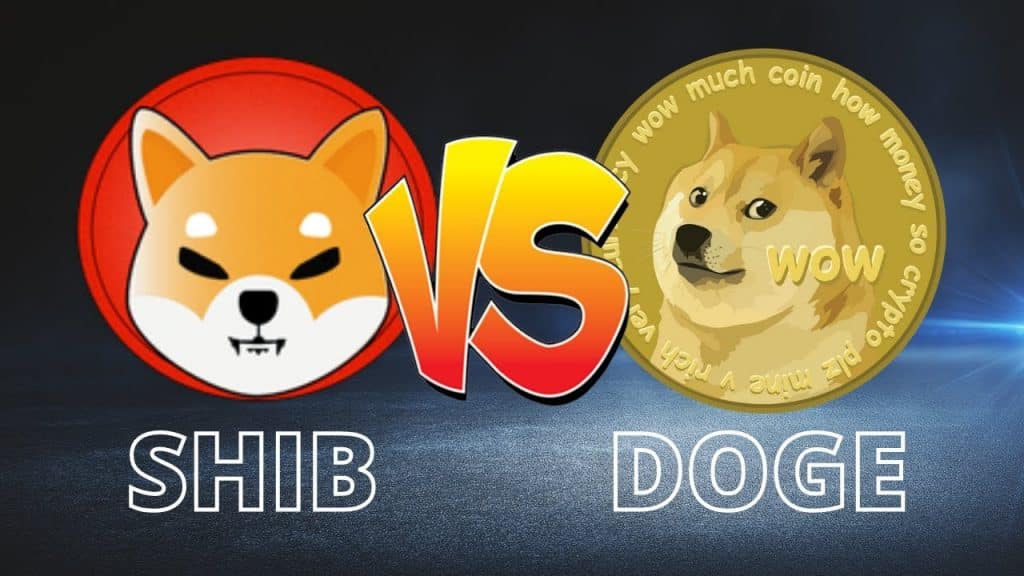 shib vs doge