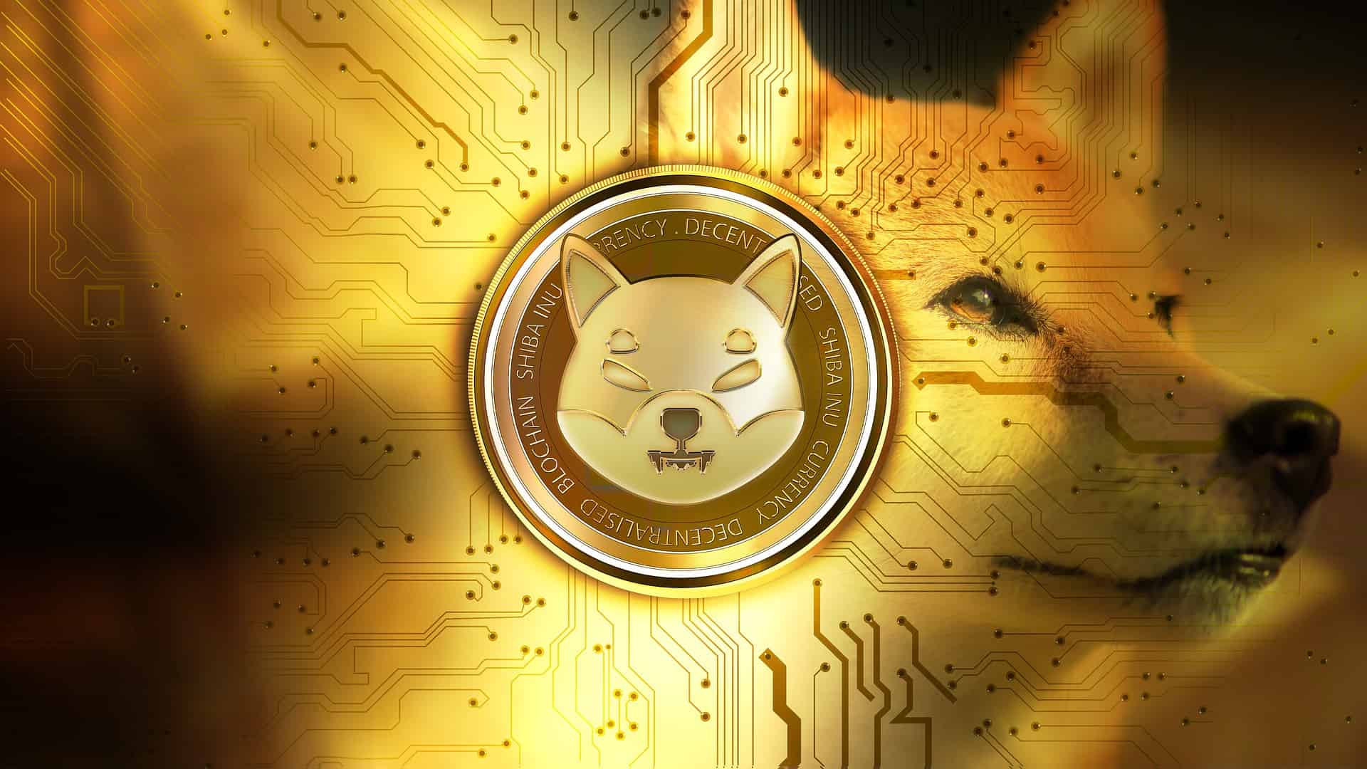Shiba Inu To Power Phones And Online Purchases With AlphaTopup