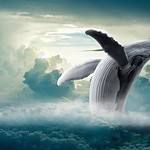 Bitcoin Whale Emerge From Its 10-Year Slumber; Moves $37M BTC Tokens