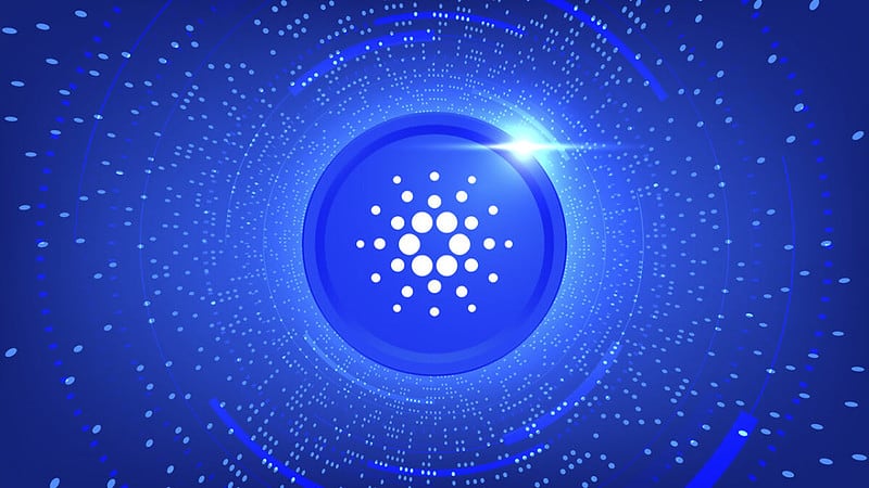 Cardano Builder Celebrates Network Growth And Future Plans