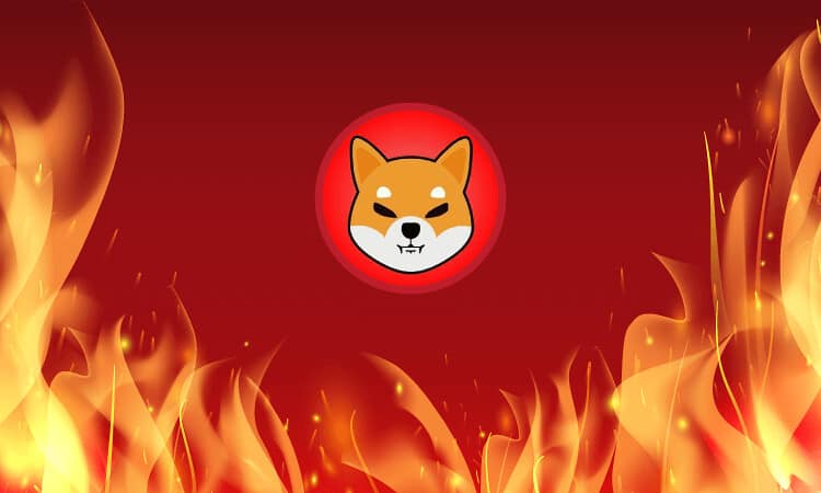 Shiba Inu Tokens Soar As LEASH Gets Listed On StealthEX