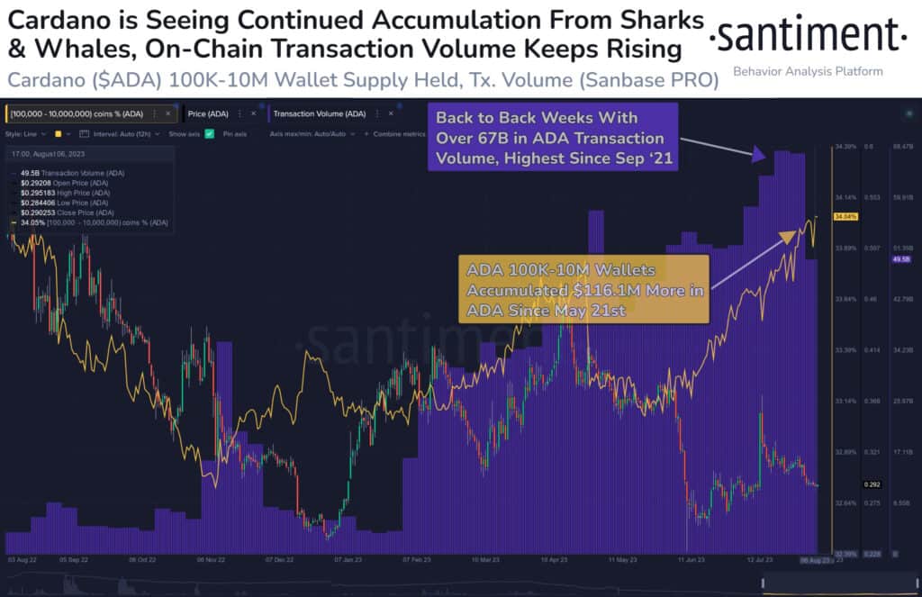 Cardano (ADA) Price Journey: Analyst Anticipates Breakout Symphony In 2024 2 image 26 4