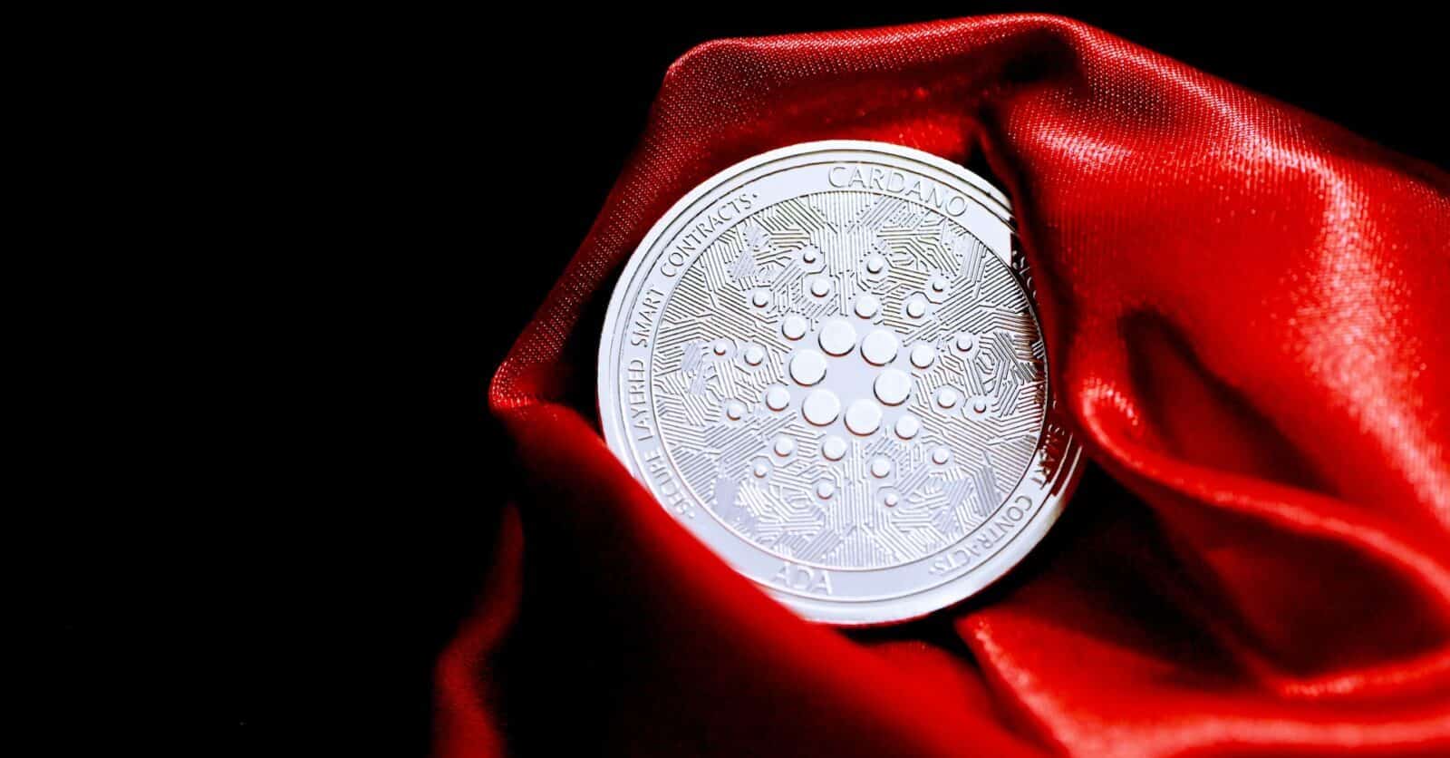 Cardano's Accumulation Hit 12-Month High Amidst Transaction Spike