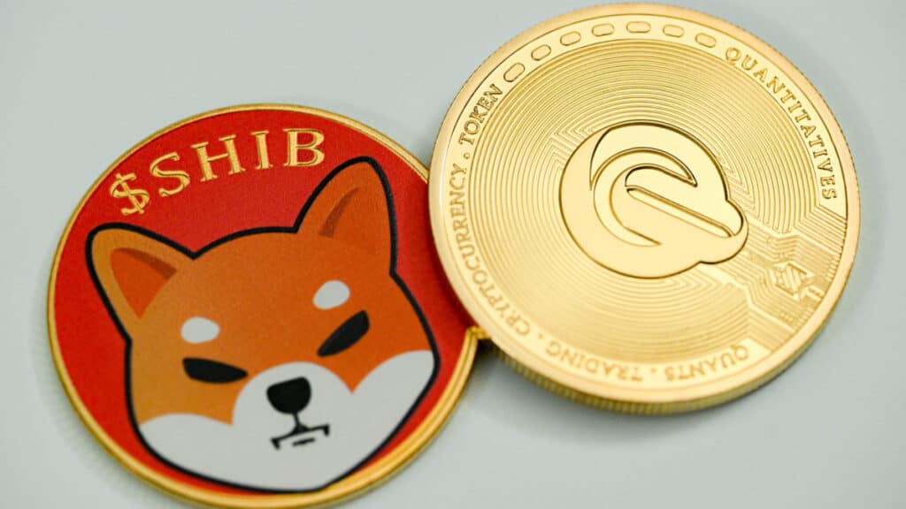 Shiba Inu