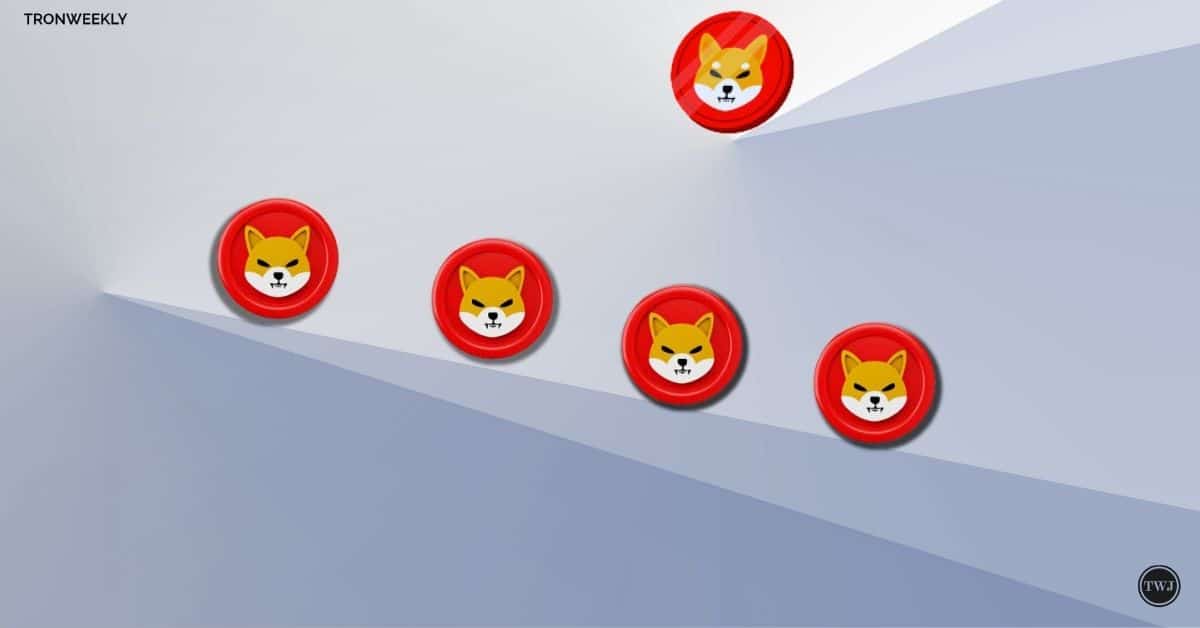 Shiba Inu (SHIB) Price Forecast A Glimpse Into The Future 2025, 2030