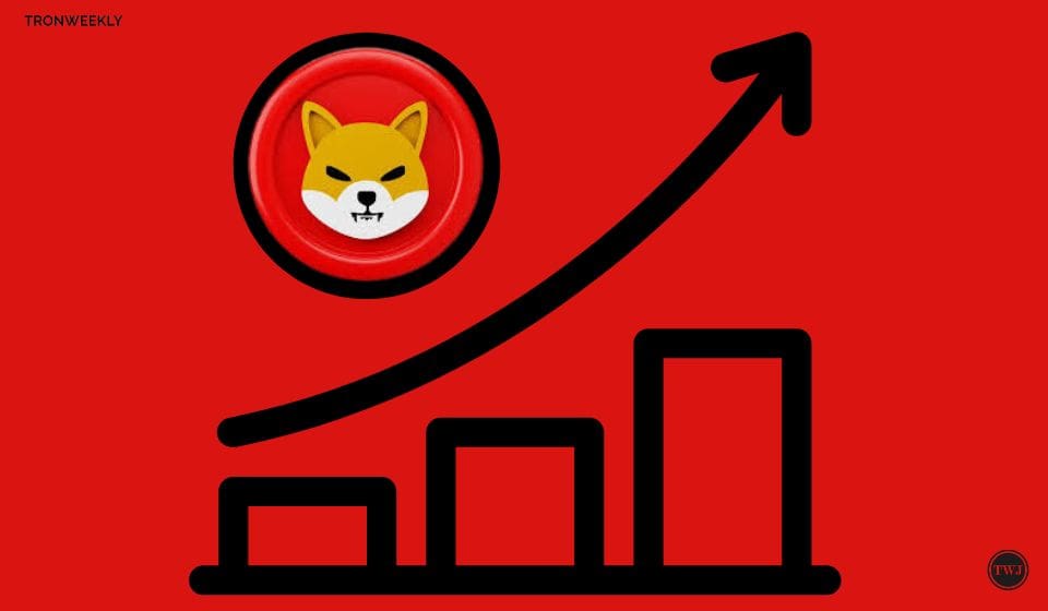Shiba Inu