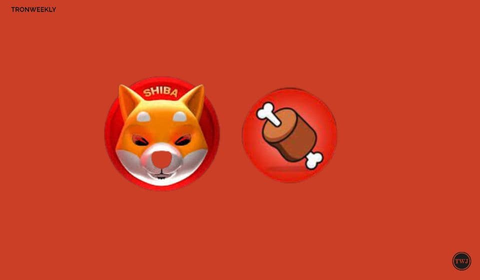 Shiba Inu