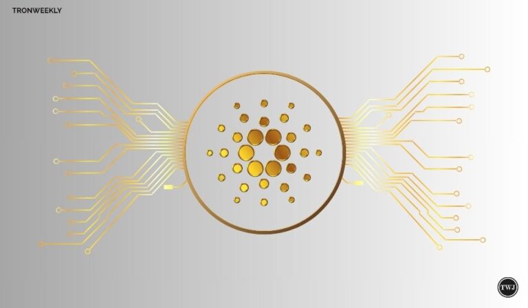 Cardano