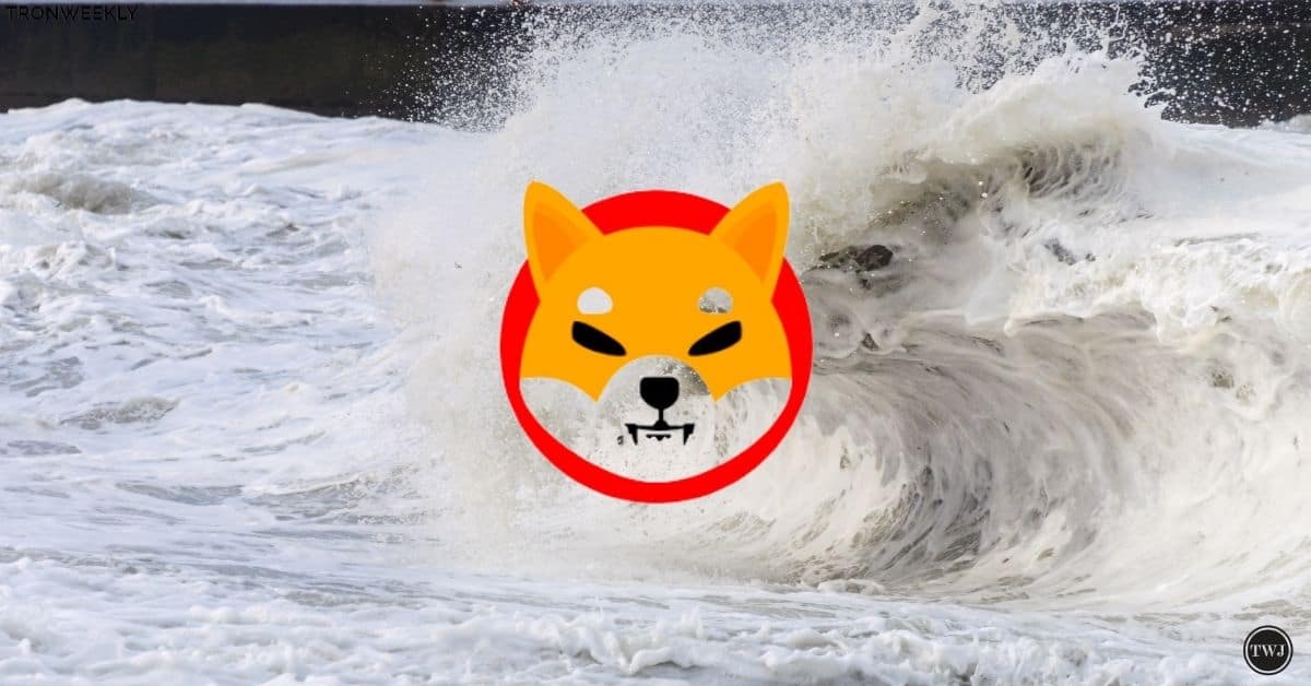 avalanche Shiba Inu