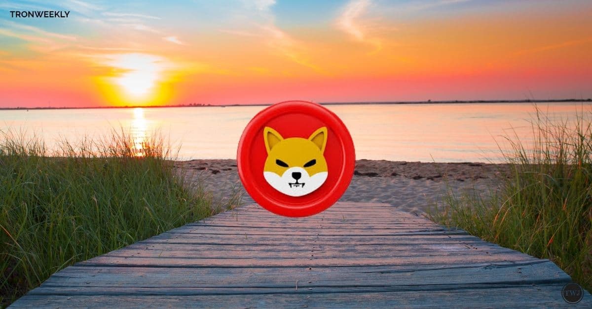 AliXswap | Unlocking The Path To Millionaire Standing At $0.001