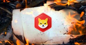 Shiba Inu�s Blaze: 1600% Surge in Burn Rate � A Precursor to a Bullish Price Run?