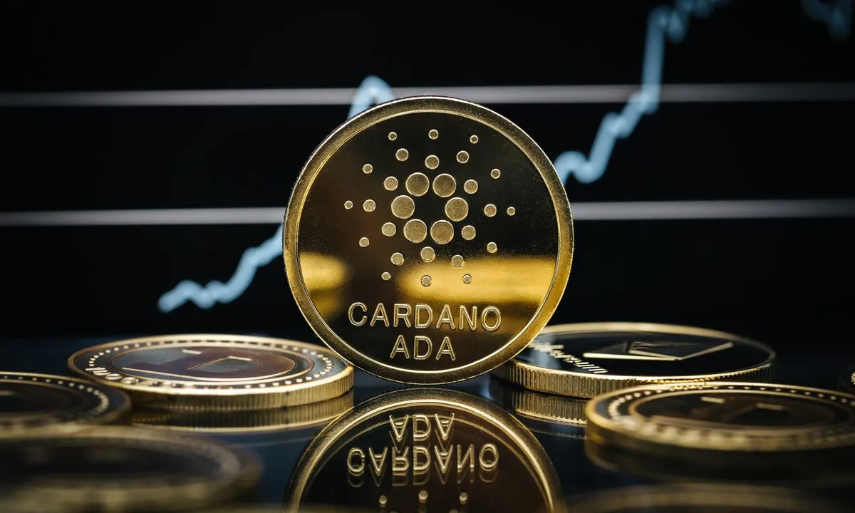 Cardano