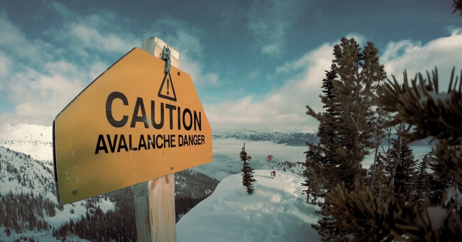 "Undervalued" Avalanche Surges 216% YTD