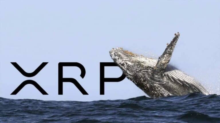 xrp