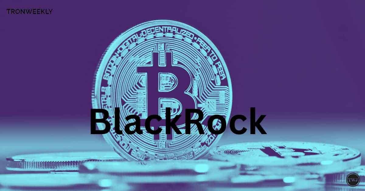 BlackRock's IBIT ETF Skyrocket To $13.6 Billion, surpasses MicroStrategy Bitcoin Holdings