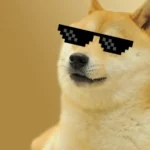 DOGE Indicates Impressive Recovery, Set to Surge by 350% Following Recent Correction